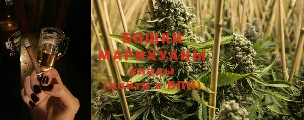 стафф Надым