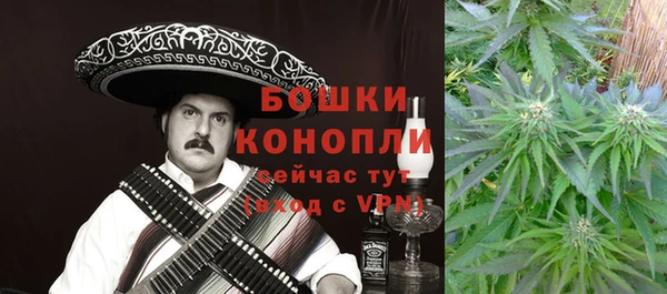 стафф Надым