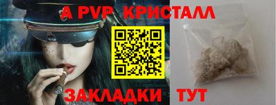 амф Кингисепп