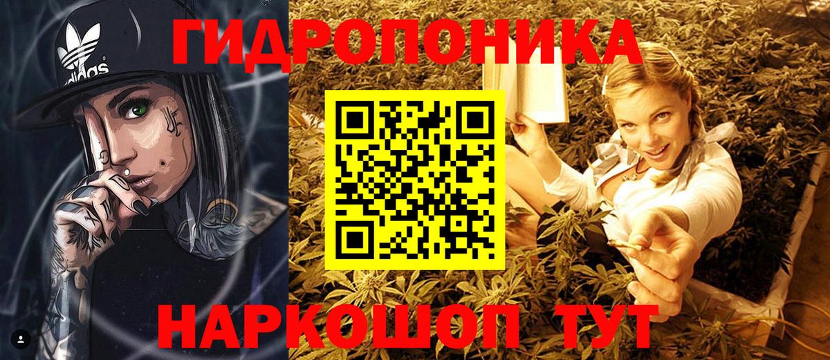 Бошки марихуана VHQ Красноярск